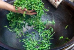 网友爆料竹叶图片高清视频,自然之美尽收眼底