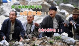 一个鬼子都不留全集在线观看,鬼子不留全集，全景再现抗战烽火