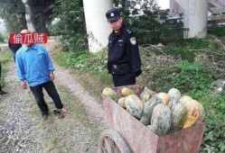 文安县网红吃瓜事件真相,真相背后引人深思