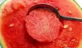 吃瓜娱乐社寄生虫,深度解析寄生虫背后的社会现象与人性探讨