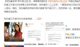 台媒私下爆料事件视频下载,揭秘幕后真相