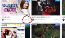 深圳王小姐爆料视频大全,揭秘背后惊人真相