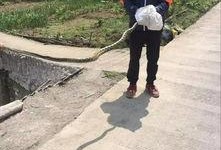 筠连网友爆料最新,揭秘当地最新热点事件！