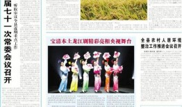 双鸭山最新爆料新闻报道,揭秘城市热点事件背后的真相