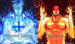 航海王最新奥义图爆料,揭秘最新奥义图，探寻路飞巅峰对决的神秘力量