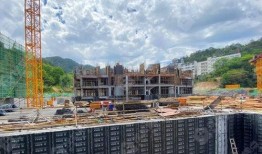 颐园二期爆料事件最新,揭秘豪宅背后的争议与真相