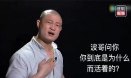 波哥励志爆料视频大全,点燃梦想，照亮前行之路