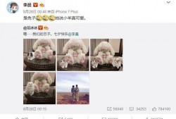 最新七夕爆料网站在线观看,最新爆料网站带你在线领略甜蜜瞬间