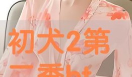 初犬2在线观看,热血追踪，再战巅峰