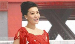 歌唱家爆料老公视频播放,一场意外的网络风波