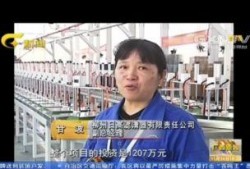 柳州大哥爆料新闻报道最新,最新新闻报道背后的惊人真相！