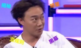 娱乐圈名人爆料有哪些,揭秘明星背后的故事与真相