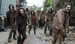 行尸走肉8在线观看,生死边缘的绝望求生之旅