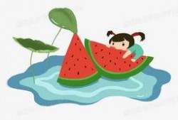 免费动漫吃瓜,吃瓜群众狂欢指南