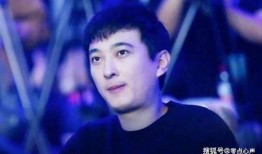 辛凯爆料女艺人是谁呀视频,揭秘神秘女艺人身份之谜