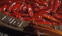 网友爆料火锅店事件视频,网友爆料视频揭露惊人一幕