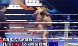 爆料武林风的视频,精彩瞬间回顾与幕后故事揭秘