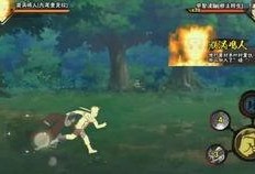 鸣人爆料哪里看视频的