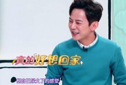 吴昕爆料何炅喝酒视频大全,吴昕爆料视频引热议