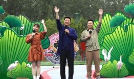 河南老中医爆料视频最新,传承千年养生智慧