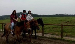 走马观花爆料视频大全下载,精彩瞬间一网打尽