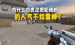 cf白虎爆料最新消息视频,揭秘游戏内幕与未来动向