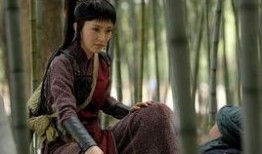 女神捕在线观看,神秘案件背后的正义之战