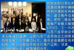 最新辽阳爆料事件新闻,揭秘背后真相与争议焦点