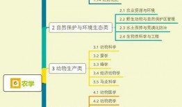 玉兔公主爆料视频大全集,揭秘幕后真相与精彩瞬间