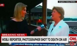 爆料转基因的记者被杀视频,真相调查背后的惊悚一幕