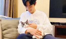 肖战朋友圈最新爆料,揭秘明星私生活背后的真相