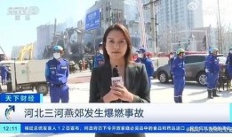 河源记者爆料事件视频最新,揭秘背后惊人真相！