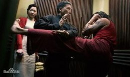 叶问 在线观看,传承武魂，捍卫国威