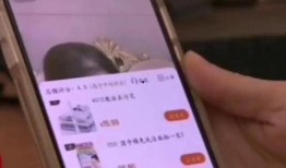 二狗在哪里直播爆料视频,独家爆料背后的故事