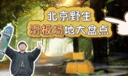 北京爆料熊孩子是谁啊视频,北京爆料熊孩子视频主角身份之谜