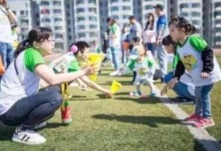 金宝贝宠物爆料视频,萌宠日常大揭秘