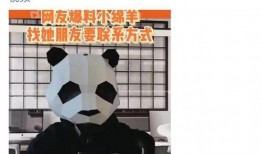 刘大锤最新爆料小绵羊,小绵羊背后的惊人真相