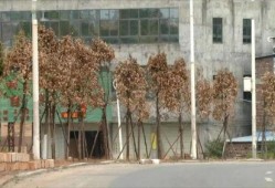 河源今日一线爆料,揭秘背后惊人真相