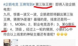 爆料荣耀主播视频,揭秘幕后精彩瞬间