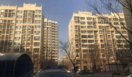 金商花园爆料事件视频,揭秘小区内幕引发热议