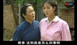内当家在线观看,揭秘家庭背后的权力游戏
