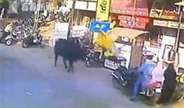 黑牛爆料在线观看视频,揭秘热门视频背后的真相与幕后故事