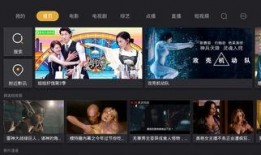 电视直播在线观看官网,揭秘电视直播在线观看官网全攻略