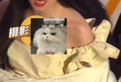 玲斐圈内人爆料了吗是真的吗