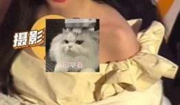 玲斐圈内人爆料了吗是真的吗