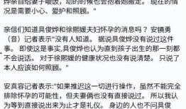台媒私下爆料事件视频下载,揭秘幕后真相