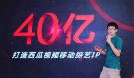 西瓜卫视在线观看,畅享精彩瞬间，尽在指尖