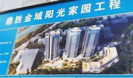 福保最新爆料新闻,揭秘最新爆料背后的惊人真相