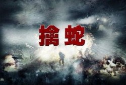 擒蛇第40集在线观看,揭秘蛇影重重背后的惊天阴谋