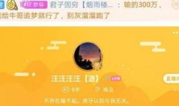 如何联系今日关注爆料主播,如何轻松联系与互动